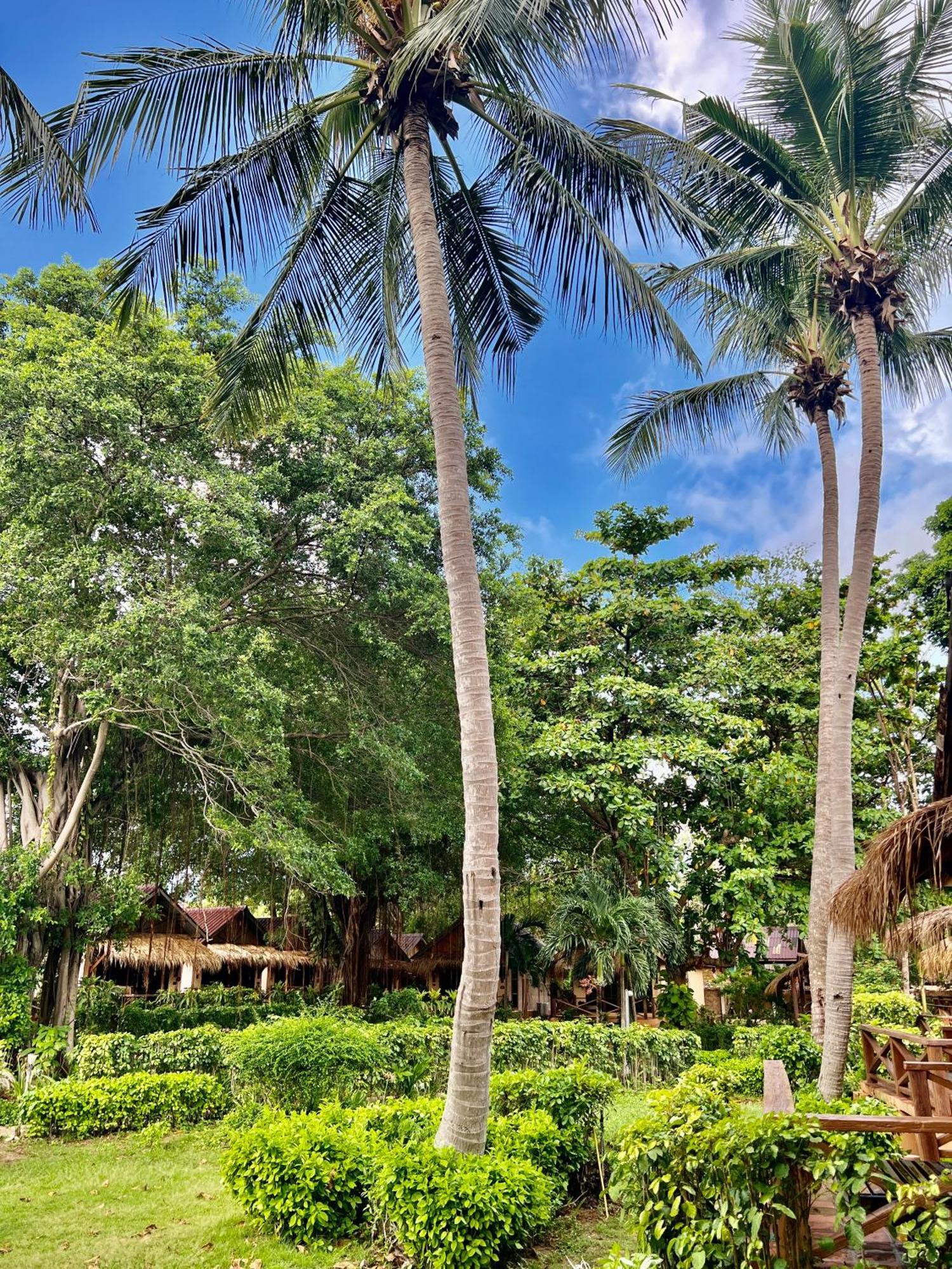 Nautilus Right On The Beach - Adult Only - Sha Extra Plus Koh Lanta Exterior photo